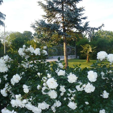 Bed and Breakfast L'Albero Della Gioia Villanova sull'Arda Exterior foto