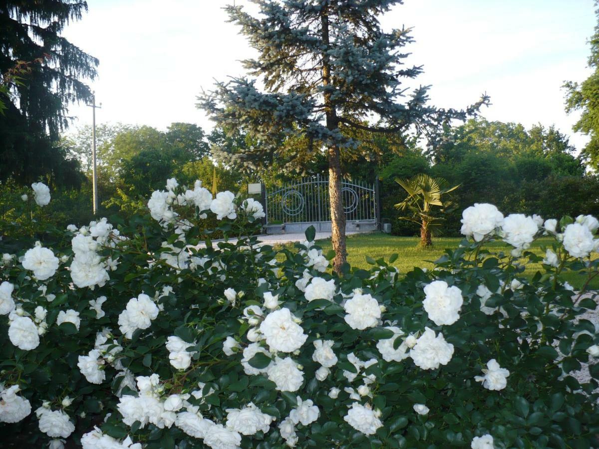 Bed and Breakfast L'Albero Della Gioia Villanova sull'Arda Exterior foto